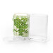Conservateur à Herbes Fraîches Coupées Greensaver 1,7 L