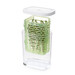 Conservateur à Herbes Fraîches Coupées Greensaver 1,7 L