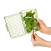 Conservateur à Herbes Fraîches Coupées Greensaver 1,7 L