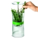 Conservateur d'herbes fraiches