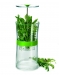 Conservateur d'herbes fraiches