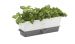 Conservateur herbes fraîches en pot 3 emplacements