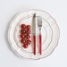 Couteau de table Quio grenadine