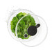 Essoreuse à Salade à Piston Transparente 21 Cm