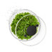 Essoreuse à Salade à Piston Transparente 26 Cm