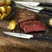 Jeu de 4 couteaux à steak lisse ZWILLING Matteo Thun
