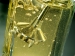 Mixeur plongeant M200 SwissLine Rouge avec 3 embouts