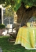 Nappe rectangulaire Le Jacquard Français 175x320 Provence Citron Vert 100% coto