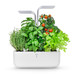 Potager D'intérieur Intelligent Smart Arctic White
