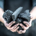 Sac charbon naturel 4,5 kg