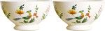 Coffret de 2 Bols OISEAUX DU PARADIS