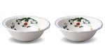 Coffret de 2 Saladiers OISEAUX DU PARADIS