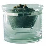 Coupelle a caviar individuelle