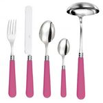 Menagere de 49 pieces Newbridge rose fushia