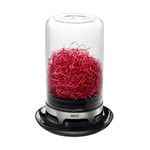 Mini Serre En Verre Pour Jeunes Pousses