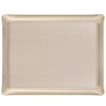 Plateau Acrylique 46 X 36 cm Secret argent