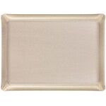 Plateau Acrylique 60 X 45 cm Secret argent