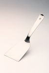 Spatule Large de Service