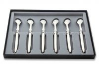 Coffret de 6 Cuilleres a cafe Laguiole inox
