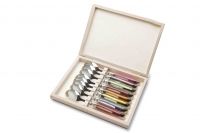 Coffret de 8 cuilleres a cafe Laguiole (8 couleurs en acrylique assorties)
