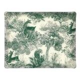 Plateau Acrylique 46 X 36 cm Gaia - Vert de Gris