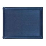 Plateau Acrylique 46 X 36 cm Secret marine