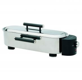 Poissonni&egrave;re &eacute;lectrique