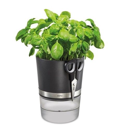 Pot D Herbes Aromatiques Botanico