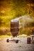 Barbecue Fumoir No. 1 F50-S