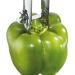 Eplucheur poivron inox 19 cm