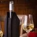 Rafraîchisseur de vin Noir pour rafraîchir et garder le vin frais pendant tout l