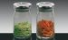 Set de 2 bocaux épices en verre