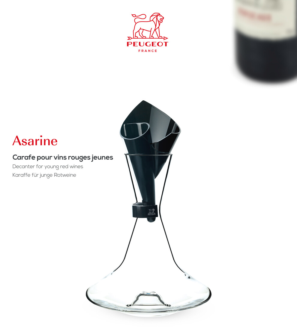Carafe pour vins jeunes + aérateur/verseur + collier antigoutte Asarine -  230265 - Peugeot
