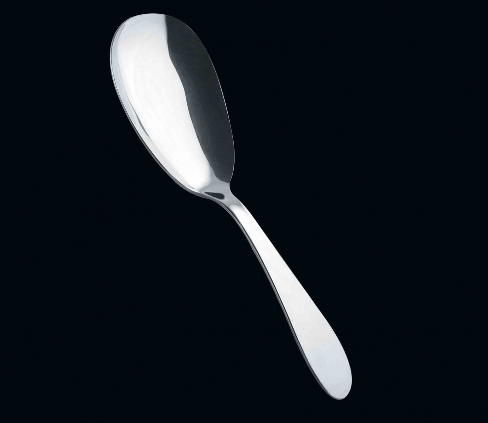 HIAKDOFT Lot De 2 Cuillères Uniques En Forme De Poisson En Acier